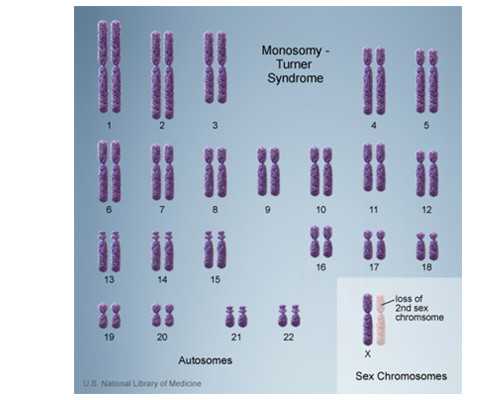 哪个医院可以用别人的卵泡_代生孩子国家