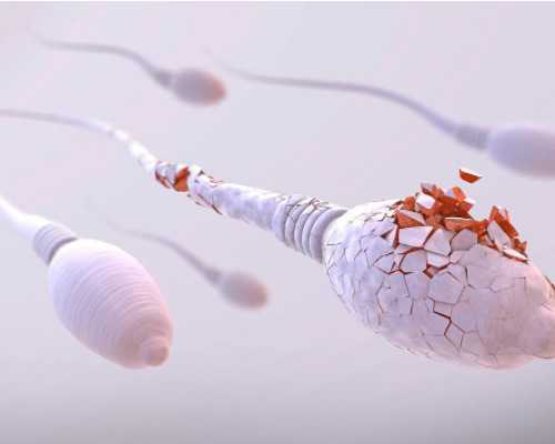 寻代供卵试管妈妈,代生孩子价格是多少