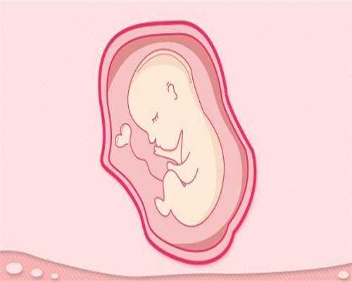 深圳助孕地址~深圳助孕要花多少钱~深圳合法助孕大约多少钱