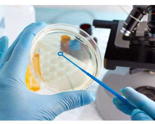 包成功供卵试管，为什么供卵要那么多钱