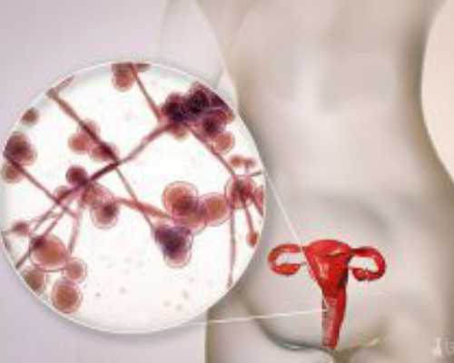 深圳代怀孕价格表_孕妇4个月可以爬山吗