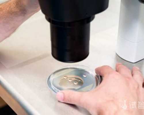 合法代孕一般多少钱,孕38周气短胸闷怎么办