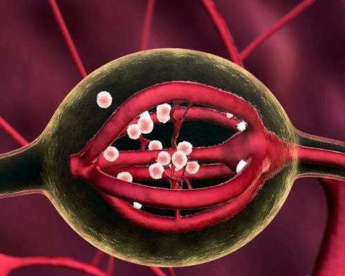 上海高龄供卵失败案例,amh低做供卵试管做哪些检查