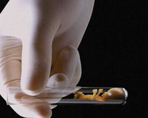 先天性卵巢发育不全的治多久~借腹生子合法的国