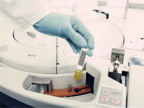 张娟辉医生出诊时间、挂号攻略，深圳张娟辉供卵试管