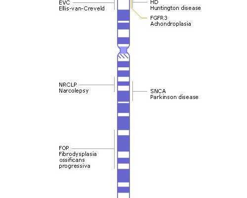 试管过程中乐宝得促排卵对身体有伤害吗？坤和生殖博士详解