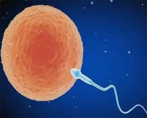 深圳代怀孕价格-深圳代怀孩子微信簪-深圳有卵巢