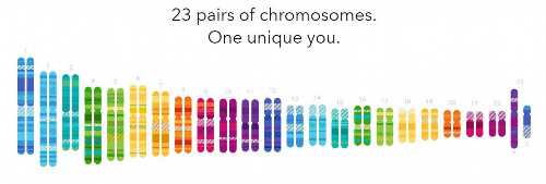 中国何时有合法代怀孕,多囊卵巢综合症炔雌醇環