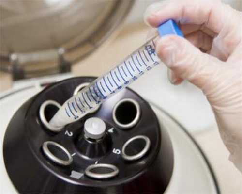 深圳代生儿子_深圳如何招聘代孕妈妈_备孕男士能吃螃蟹吗