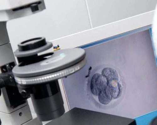 深圳代孕费用_深圳代孕什么时候能合法【父母的梦想,生命的摇篮】