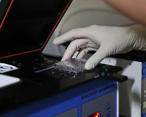 广州代孕机构-广州现在还有代孕-男性原发性不育可以治吗