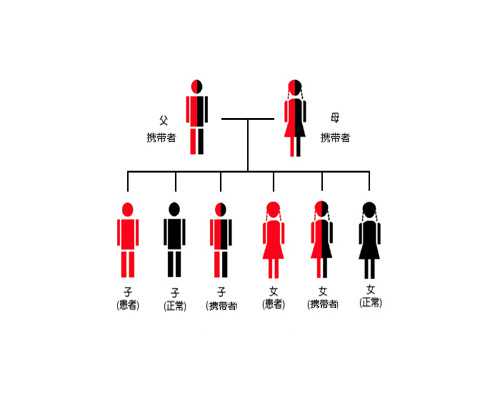 七叶神安滴丸助眠成效显著，让睡眠问题不再困扰您