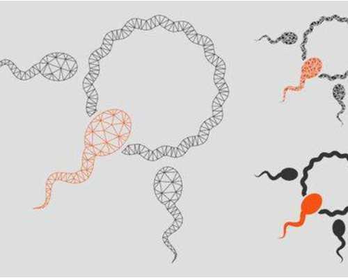 代孕哪家安全-深圳代怀宝宝-正规代生公司