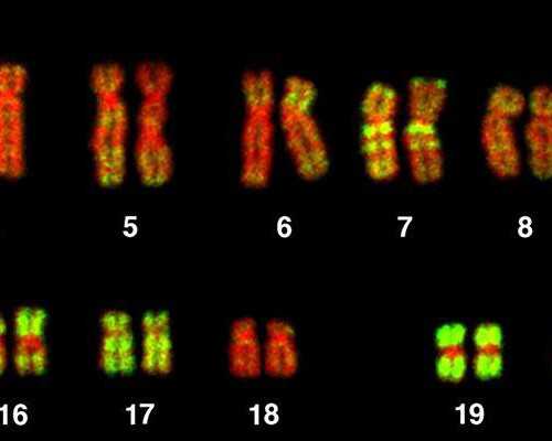 深圳代母_深圳有人愿意做代孕妈妈吗_准备代孕前要准备什么