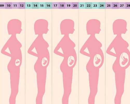 深圳代孕价格_深圳代孕可以接受吗_深圳做代孕对人有伤害吗