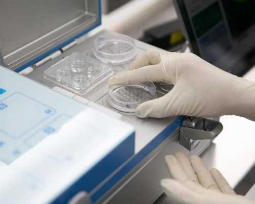 ,代孕妇产检项目及费用