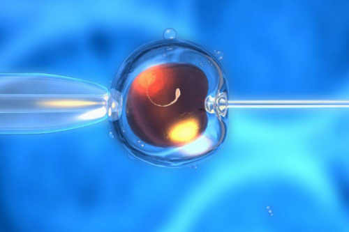 深圳代孕妈妈-深圳个人家庭找代孕妈妈-深圳如何联系代孕