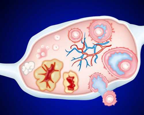 深圳找人代生小孩大概要多少钱_nt值会随孕周增
