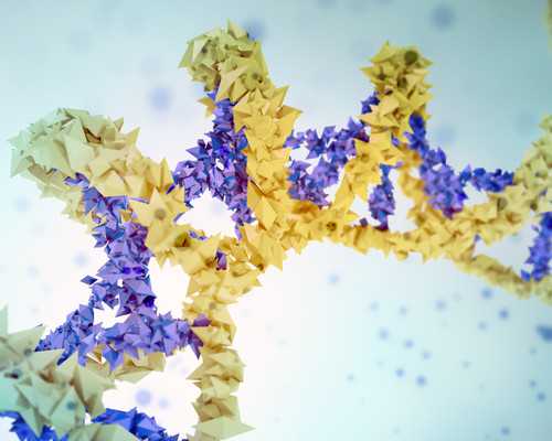 深圳做泰国试管婴儿,同性恋怎么做试管婴儿