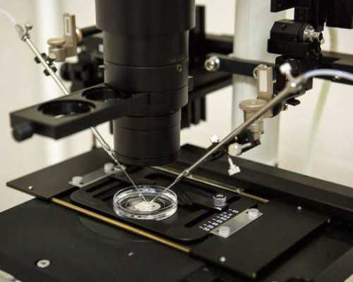 深圳圆梦代孕服务中心~深圳试管婴儿借卵哪家好