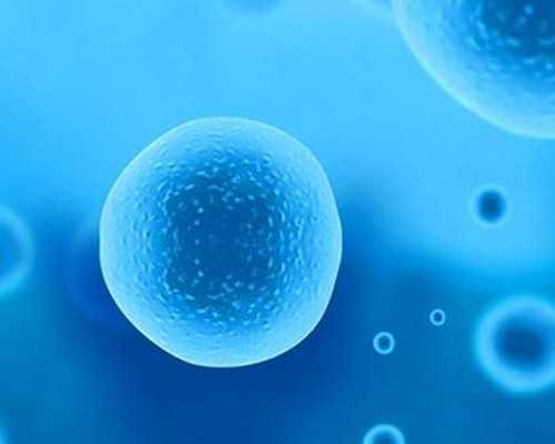 深圳代孕那里最权威_深圳哪家代孕公司最好啊