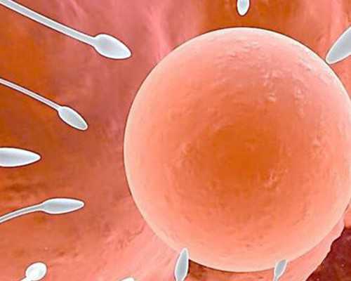 西安排队供卵不用等,华阴有能供卵的机构吗？