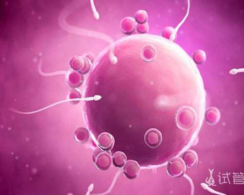 北京代孕靠谱吗_北京代孕妈妈如何报名_怀孕四个月胎儿心跳150是男孩吗