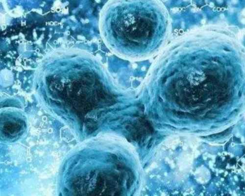 专业供卵试管收费-做代生多少钱