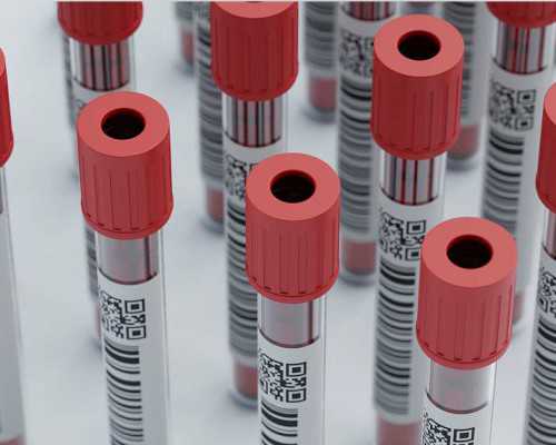 深圳助孕中介_深圳代孕公司跑了怎么办_怀孕吃馒头肚子会疼吗