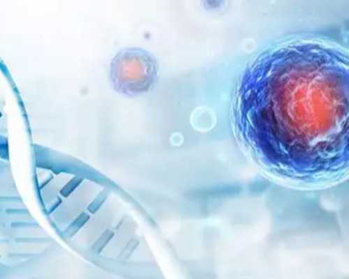 深圳代孕价格-深圳怎么代孕-深圳代孕受血型限制吗