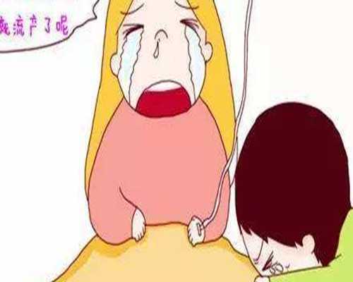 深圳助孕联系方式~深圳助孕中介~深圳代生产子要多少钱