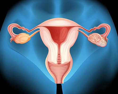 深圳有代孕妈妈吗_深圳代孕需要什么体俭【深圳代孕，希望在这里诞生】