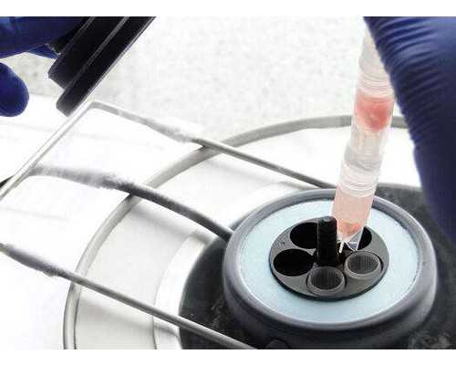 成都供卵试管公司,深圳市妇幼保健院生殖科有供卵三代试管吗？