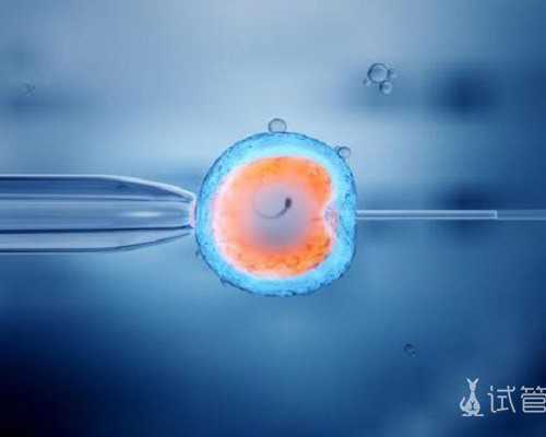 专业代孕多少钱,为什么孕九周会有危险