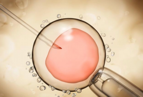 找一个供卵试管要多少钱,现在代怀妈妈要多少钱