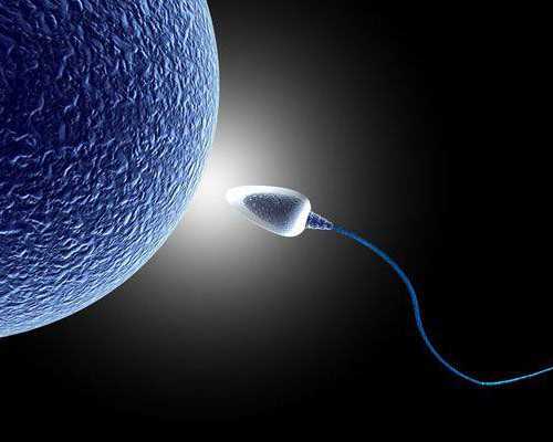 代妈微信群_胎儿无脑是什么引起的