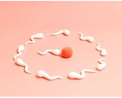 靠谱吗？人工授精可以控制生男生女