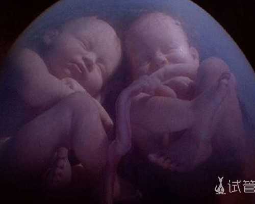 深圳代孕流程_深圳代孕怎么做的【专业代孕，幸福家庭我们一起呵护】