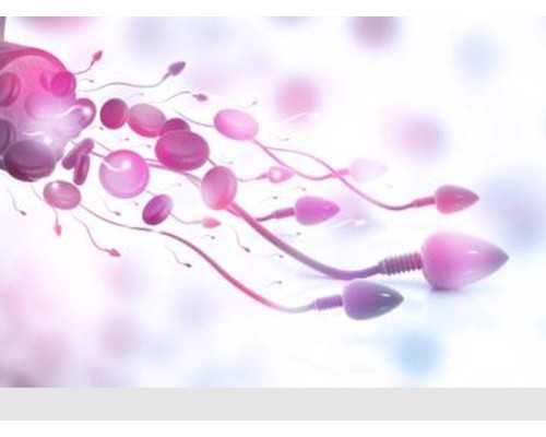 深圳供卵试管服务公司，排卵障碍供卵成功率高吗