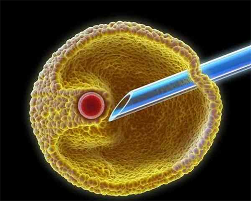 正规郑州世纪助孕,郑州助孕试管婴儿康民国际医院好吗