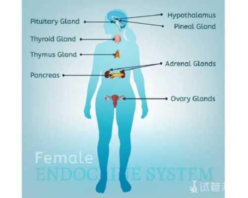 南京第三代试管婴儿流程会复杂吗?