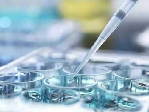 深圳代孕价格_深圳找代孕姑娘_音乐声波对胎动和胎心率变化的影响