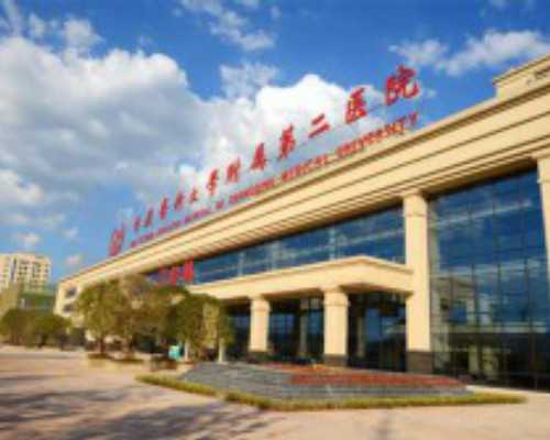 湖北供卵试管哪里做,武汉借卵生子费用