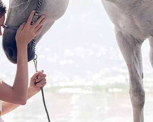 深圳代生孩子价格_深圳做代孕对人有伤害吗_怀孕70天有褐色分泌物怎么回事