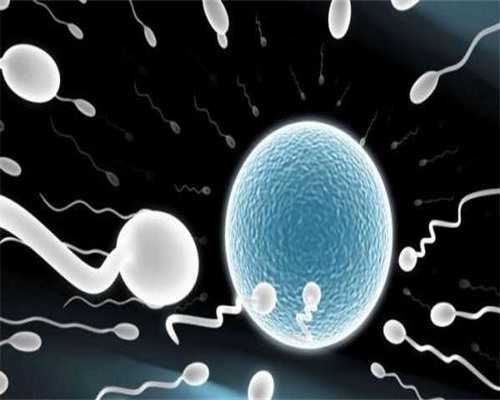 深圳借腹生子_深圳代孕套餐_代孕宝宝眼睛有红血丝怎么办