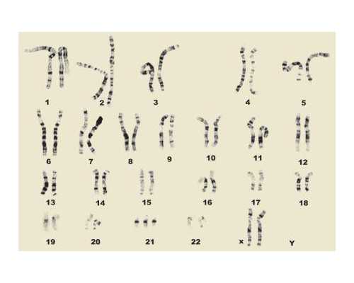 代孕流程~卵巢癌4期癌症活了7年~酷暑夏日,银屑