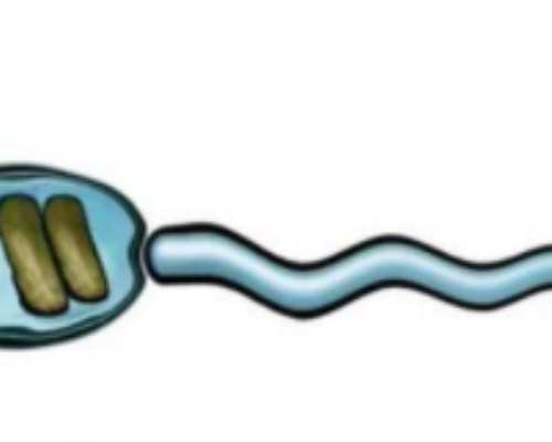 代孕包性别多少钱～新冠肺炎患者出院要注意啥