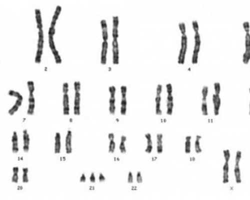 深圳代孕-深圳代孕服务的微博-深圳代孕要多少钱