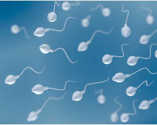 供卵和自己有关系吗,【供卵的孩子和自己没关糸吗】说说我的顺产经过和待产