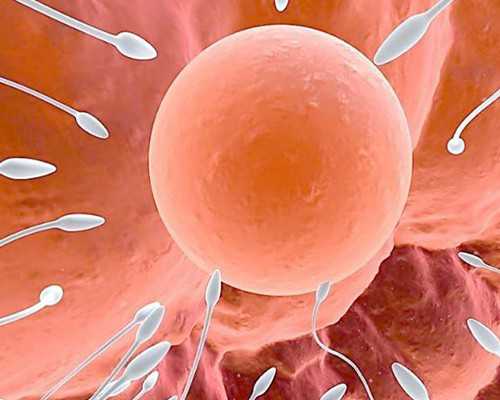 香港供卵机构成功率高吗